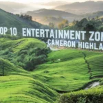 Top 10 Entertainment Zones in Cameron Highlands
