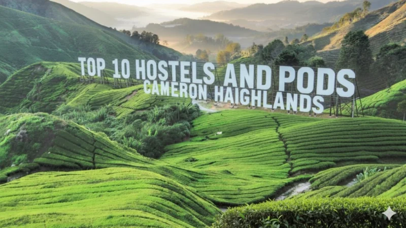 Top 10 Hostels and Pods in Cameron Highlands