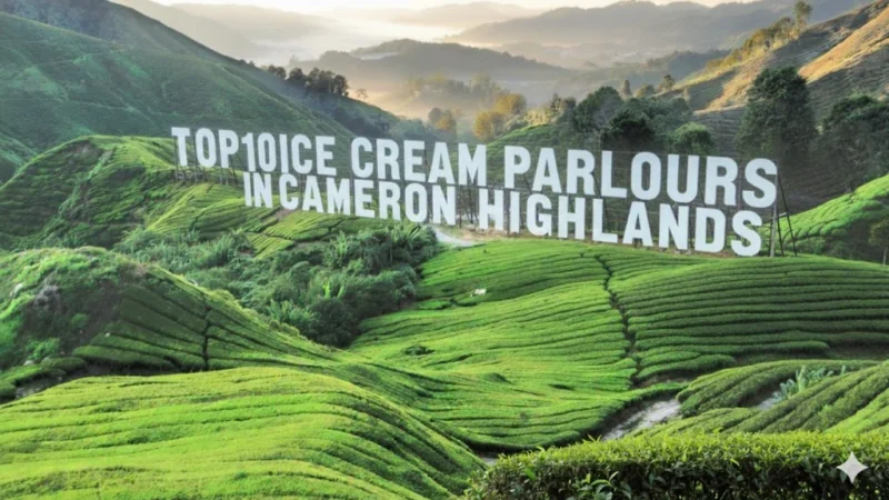 Top 10 Ice Cream Parlour in Cameron Highlands