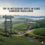 Top 10 Instagram Spot in Cameron Highlands