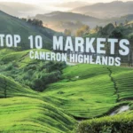 Top 10 Markets in Cameron Highlands
