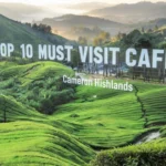 Top 10 Must-Visit Cafes in Cameron Highlands