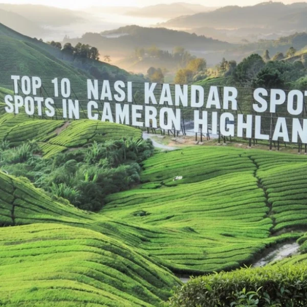 Top 10 Nasi Kandar Spots in Cameron Highlands