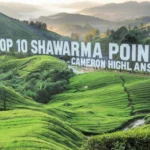 Top 10 Shawarma Point in Cameron Highlands