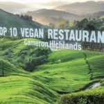 Top 10 Vegan Restaurants in Cameron Highlands