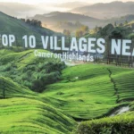 Top 10 Villages NearCameron Highlands